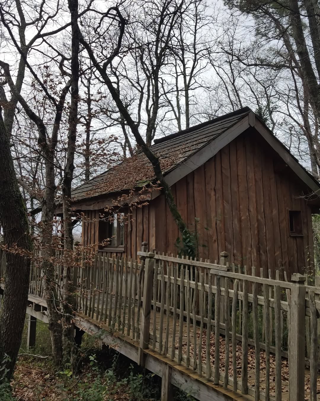 Photo by Philippe Moustie on December 27, 2021.