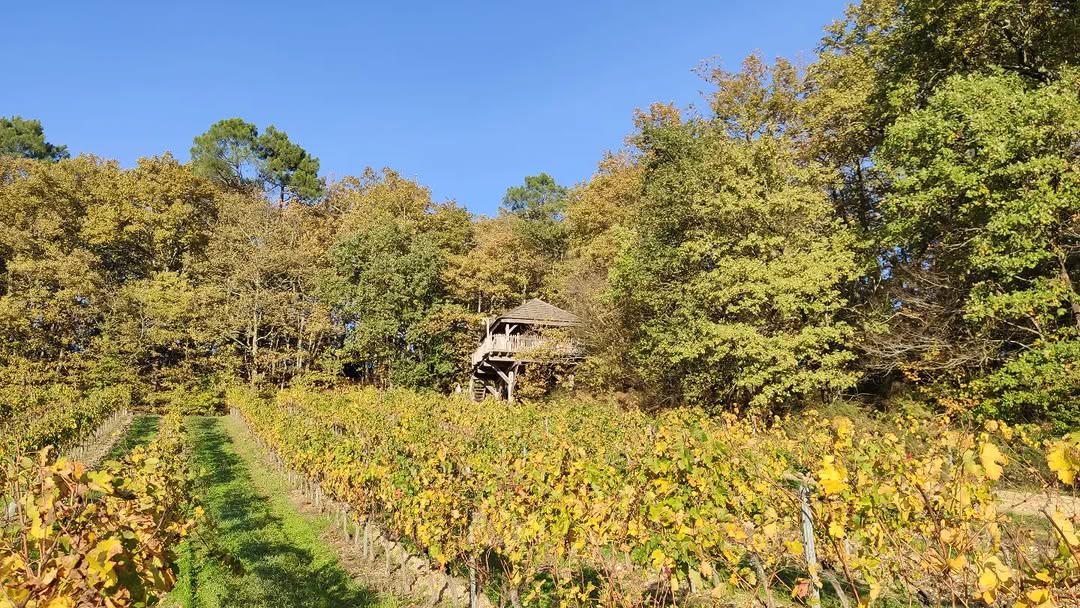 Photo by Philippe Moustie in Les Cabanes des Benauges.