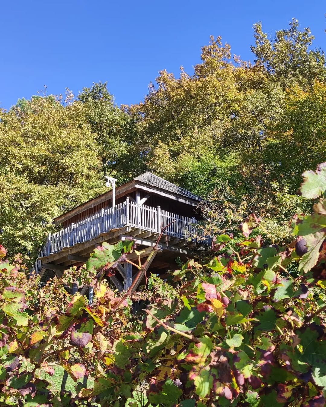 Photo by Philippe Moustie in Les Cabanes des Benauges with @chateau_la_grave_de_lausse.