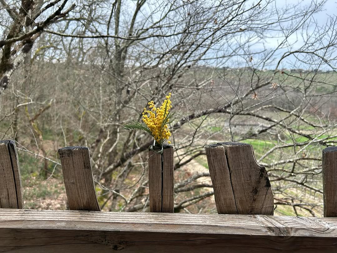 Photo by Philippe Moustie on February 18, 2024.