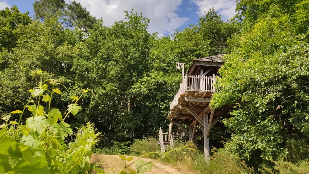 Photo by Philippe Moustie in Les Cabanes des Benauges.
