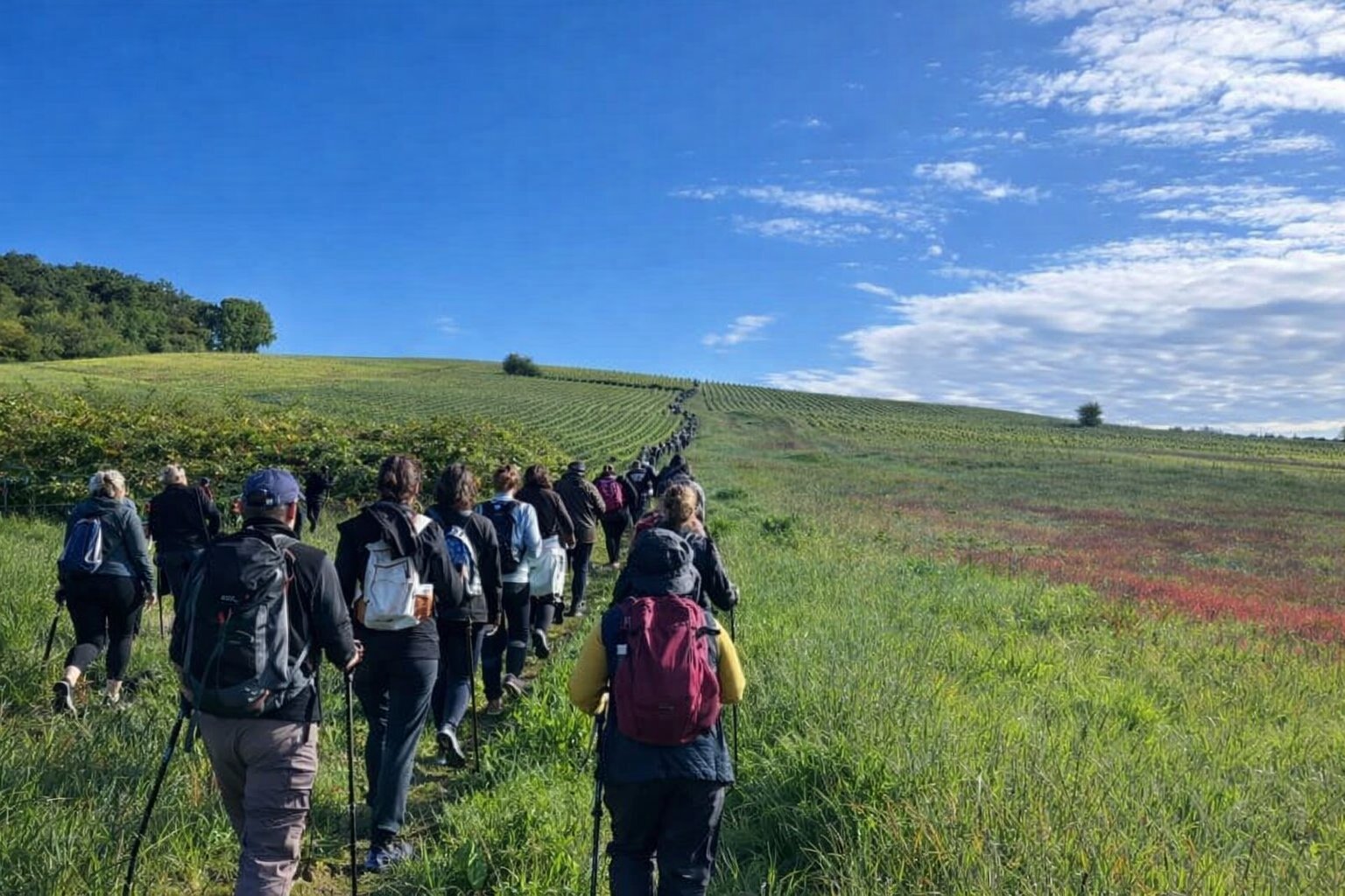 40km podensac lescabanesdesbenauges