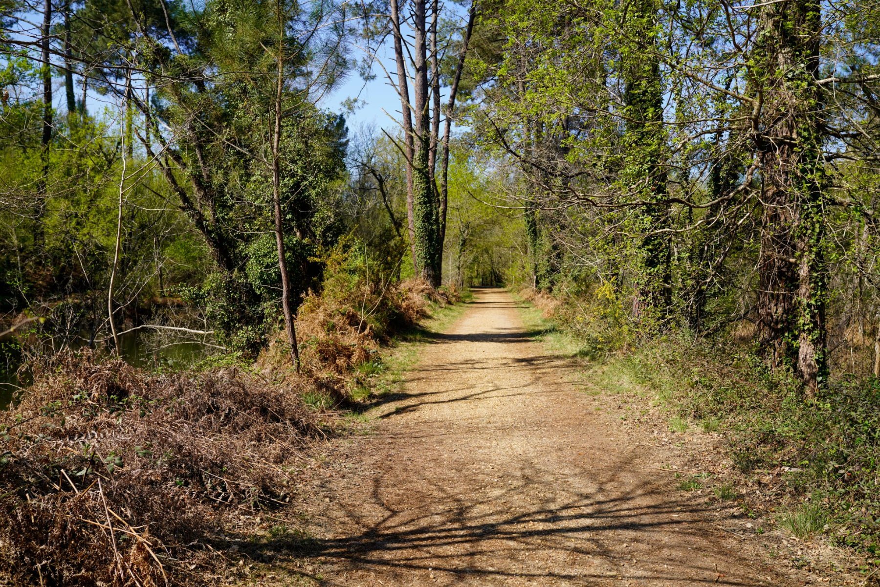 randonnee bois cabanes perchees gironde